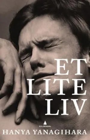 Omslag: "Et lite liv : roman" av Hanya Yanagihara