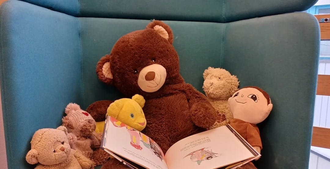 Brunbjørn leser bok for alle de andre bamsene