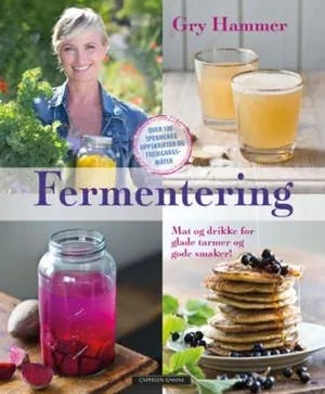 Omslag: "Fermentering : mat og drikke for glade tarmer og gode smaker!" av Gry Hammer