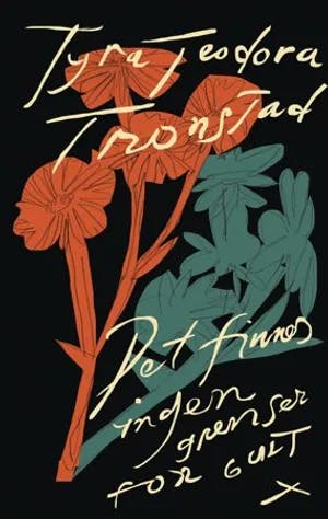 Omslag: "Det finnes ingen grenser for gult : roman" av Tyra Teodora Tronstad