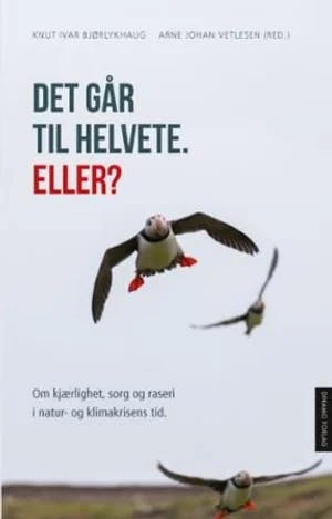 Omslag: "Det går til helvete, Eller? : om kjærlighet, sorg og raseri i natur- og klimakrisens tid" av Knut Ivar Bjørlykhaug