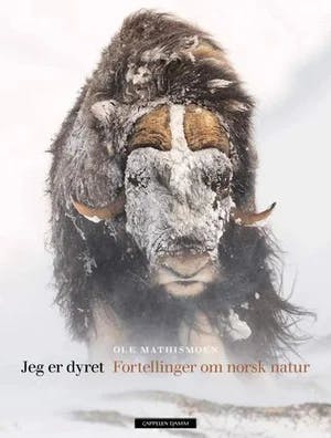 Omslag: "Jeg er dyret : fortellinger om norsk natur" av Ole Mathismoen